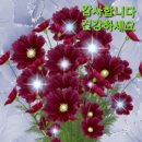 자긴 왜 테크닉이 없냐? 이미지