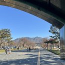 베베삼촌 | 서울대공원 원더파크 베베핀 체험 후기 :: 주차 할인부터 앱 활용 꿀팁까지 (아이랑 가볼만한곳 추천)