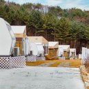 월송리캠프&글램핑카라반 | 월송리캠프&글램핑카라반 직접 가본 솔직 후기