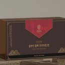 효담정