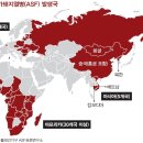 돼지인력 이미지