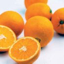 오렌지백반 이미지