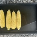 히어리캠핑장펜션 이미지