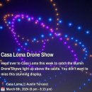 토론토 캣 이미지