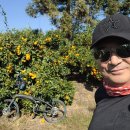 하례광장로 이미지