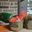 디지스도그 이미지