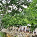 용현계곡입구 이미지