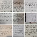파랑새작은도서관 | [글쓰기의 시작, 필사부터 서평 쓰기까지] 진행 후기 (feat. 해밀도서관)
