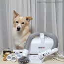 주식회사 페페 | 페페_앱스퍼 에어탱크🌬