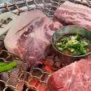 두툼두툼 이미지