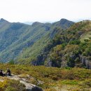 은빛추억 이미지