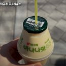 워터캐슬 헬스 이미지