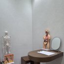 더에스테틱
