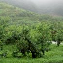 태기농장 이미지