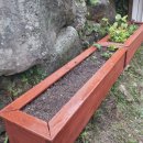 예진꽃화원 이미지