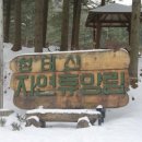 청태산 자연속으로 이미지