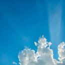 콜롬버스 휘트니스클럽 | 8월 중순에 방콕 같이 갈 사람 있나??