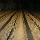 이관수농장 이미지