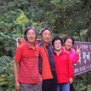 대관령도서관 이미지