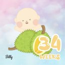 임신 34주 아기 몸무게, 배크기, 산후도우미 신청, 에덴병원, 철분주사, 베이비빌리 첫인사박스 당첨