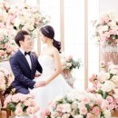 H8889 | D- 85. MnB 사진보정(미어캣과보거스)에서 웨딩사진 보정했어요