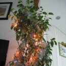 기아오토큐명동점 이미지