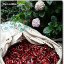 장원아구찜 이미지