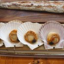 해랑.대게횟집 이미지