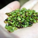 추억여행 이미지