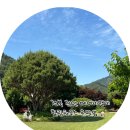 힐링하우스 운일암(진안 숙소/에어비앤비 세번째 방문/마당있는 촌캉스)