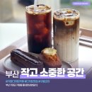 기장초등학교 | [부산]디저트도 커피도 맛있는 기장 작고 소중한 공간 카페 추천