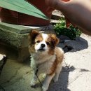 바다를 닮은집 이미지