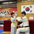 사랑태권도 이미지