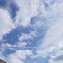 오서산- 나홀로 산행기 이미지