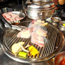 지금,돼지 이미지