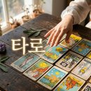 직접 시작해보는 부동산 경매 입문부터 실전까지 | 타로배우기 입문 및 전화타로 상담 전 꼭 확인해야 할 팁