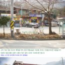 거북이바이크