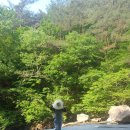 아름다운구제 | [곡성도림사] 행복두배 혼자 다녀온 템플스테이 후기