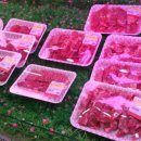 21세기당구클럽 이미지