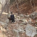 몸튼튼 맘튼튼 건강 숲 체험 | 울산숲놀이 쑥쑥반 127번째 만남 - 26. 2. 22.