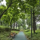가락본동주민센터 | 가락시장 고시원 전입신고 가능 직장인 추천 로데오고시원 후기