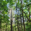 천주산 등산로 이미지