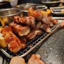 서해쭈꾸미 이미지