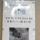 아오이토리