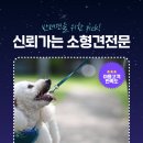 독포유 이미지