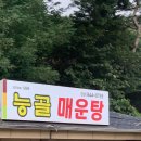 능골매운탕