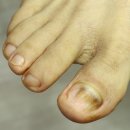 레푸스수성점 이미지