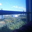 대전로얄플란트치과의원 이미지