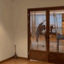 더꼬오치