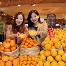 현대청과 - 성남시 중원구 마지로 118 | 현대청과